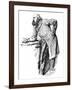 Robert Marq. Salisbury-Harry Furniss-Framed Art Print