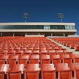 Football on Tee-Robert Michael-Photographic Print