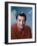 ROBERT MITCHUM in the 50's (photo)-null-Framed Photo