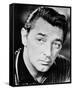 Robert Mitchum-null-Framed Stretched Canvas