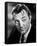 Robert Mitchum-null-Framed Stretched Canvas