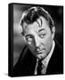 Robert Mitchum-null-Framed Stretched Canvas