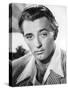 Robert Mitchum-null-Stretched Canvas