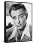 Robert Mitchum-null-Framed Stretched Canvas