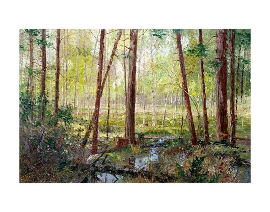 Art Print, , large