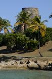 St. Johns, Antigua, Leeward Islands, West Indies, Caribbean, Central America-Robert-Photographic Print