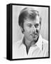 Robert Redford-null-Framed Stretched Canvas