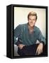 Robert Redford-null-Framed Stretched Canvas