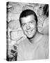 Robert Reed - The Brady Bunch-null-Stretched Canvas