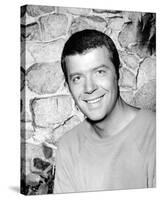 Robert Reed - The Brady Bunch-null-Stretched Canvas