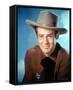 Robert Ryan-null-Framed Stretched Canvas