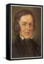 Robert Schumann German Musician-Hans Best-Framed Stretched Canvas