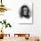 Robert Schumann-T. Johnson-Photographic Print displayed on a wall