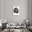 Robert Schumann-T. Johnson-Photographic Print displayed on a wall