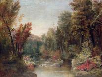 Blue Hole, Little Miami River, 1851-Robert Scott Duncanson-Stretched Canvas