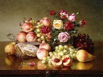 Fruit Still-life with Roses and Honeycomb. 1904-Robert Spear Dunning-Stretched Canvas