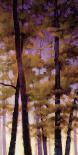 Purple Wood I-Robert Striffolino-Framed Art Print