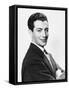 Robert Taylor-null-Framed Stretched Canvas