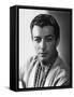 Robert Taylor-null-Framed Stretched Canvas