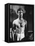 Robert Taylor-null-Framed Stretched Canvas