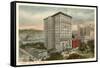 Robert Treat Hotel, Newark, New Jersey-null-Framed Stretched Canvas