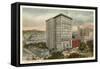 Robert Treat Hotel, Newark, New Jersey-null-Framed Stretched Canvas