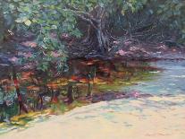 Beach and Rain Forest, Cape Tribulation, Northern Queensland, Australia-Robert Tyndall-Giclee Print