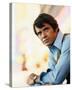 Robert Urich - Spenser: For Hire-null-Stretched Canvas