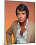 Robert Urich-null-Mounted Photo