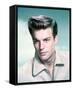 Robert Wagner-null-Framed Stretched Canvas