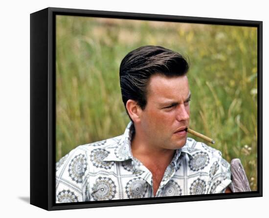 Robert Wagner-null-Framed Stretched Canvas