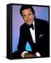 Robert Wagner-null-Framed Stretched Canvas