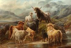 Highland Cattle, 1894-Robert Watson-Framed Stretched Canvas