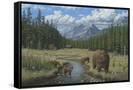 Canvas Black