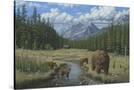 Stretched Canvas