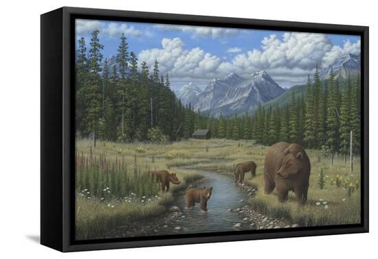 Stretched Canvas Print, , large