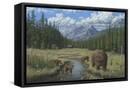 Canvas Black