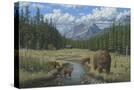 Stretched Canvas