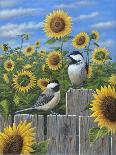 Chickadees and Sunflowers-Robert Wavra-Giclee Print