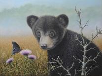 Checking Things Out - Grizzlies-Robert Wavra-Giclee Print