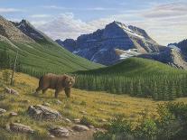Checking Things Out - Grizzlies-Robert Wavra-Giclee Print