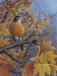 Chickadees and Sunflowers-Robert Wavra-Giclee Print