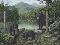 Checking Things Out - Grizzlies-Robert Wavra-Giclee Print