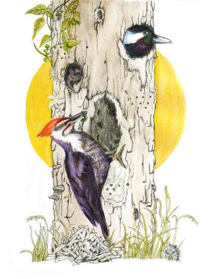 Giclee Print, , large