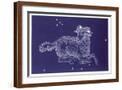 Brown Frame