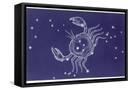 Framed Canvas