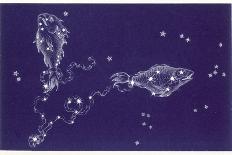 Pisces-Roberta Norton-Photographic Print