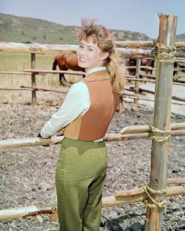 &lsquo;Roberta Shore&rsquo; Photo | AllPosters.com