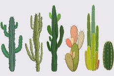 Cactus Collection in Vector Illustration-Roberto Chicano-Mounted Art Print