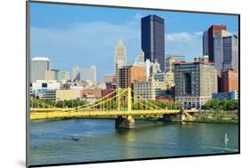 Roberto Clemente Bridge and Skyscrapers in Downtown Pittsburgh, Pennsylvania, Usa.-SeanPavonePhoto-Mounted Photographic Print